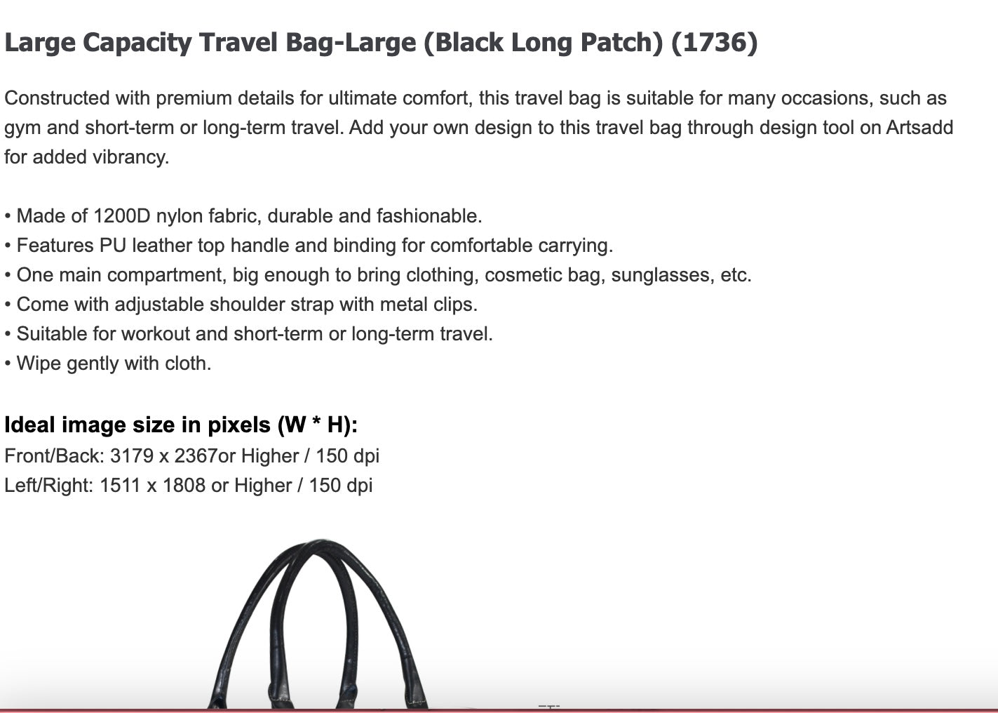 Detroit Lions Large Travel Bag