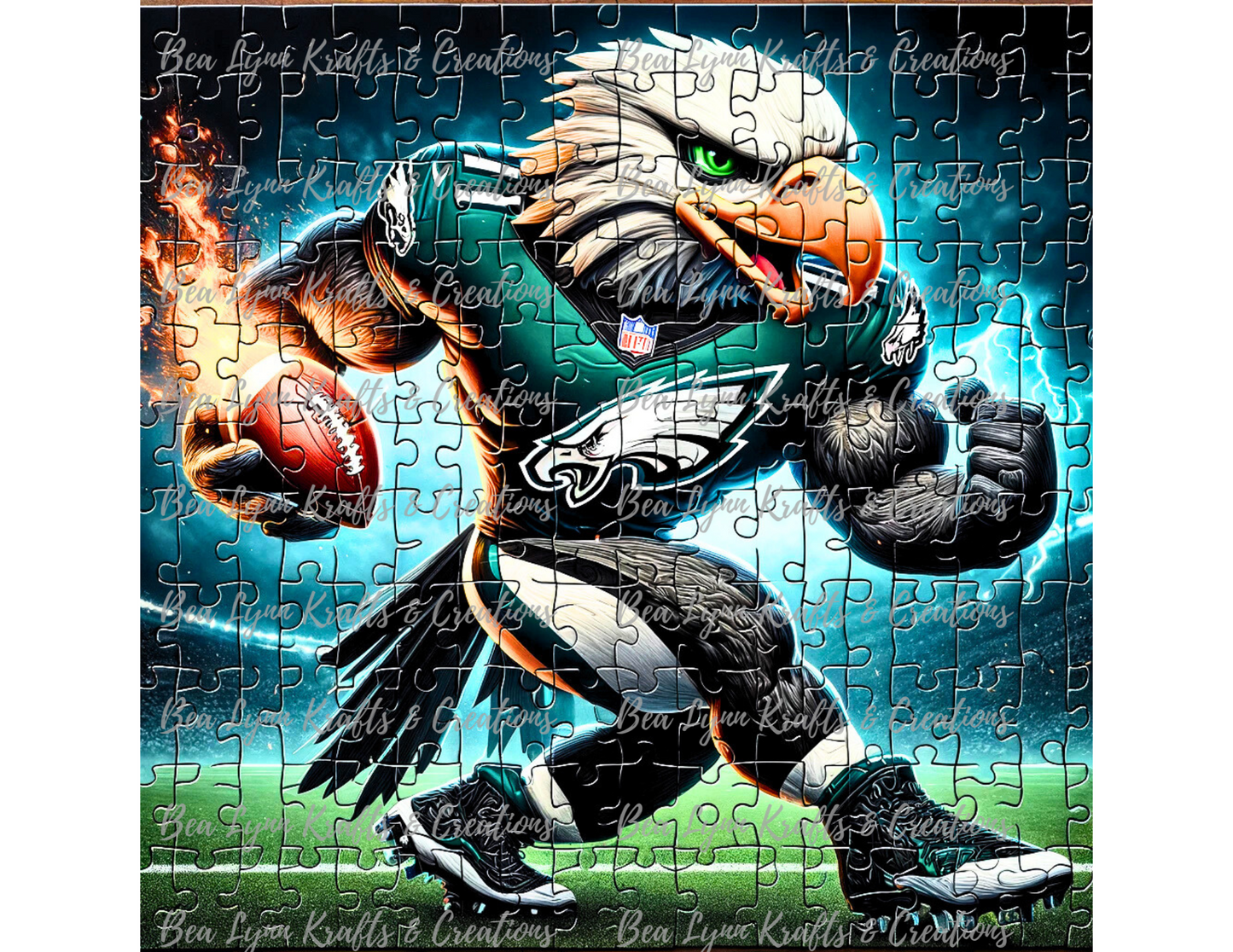 Philadelphia Eagles 20 oz Stainless Steel Tumbler